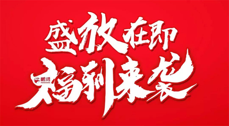 再拓疆域！鵬鴻We+定制&紅星美凱龍聯袂亮相烏魯木齊